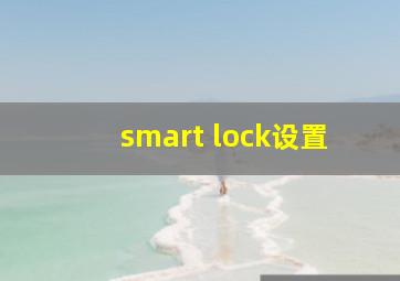 smart lock设置